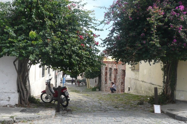P1030706